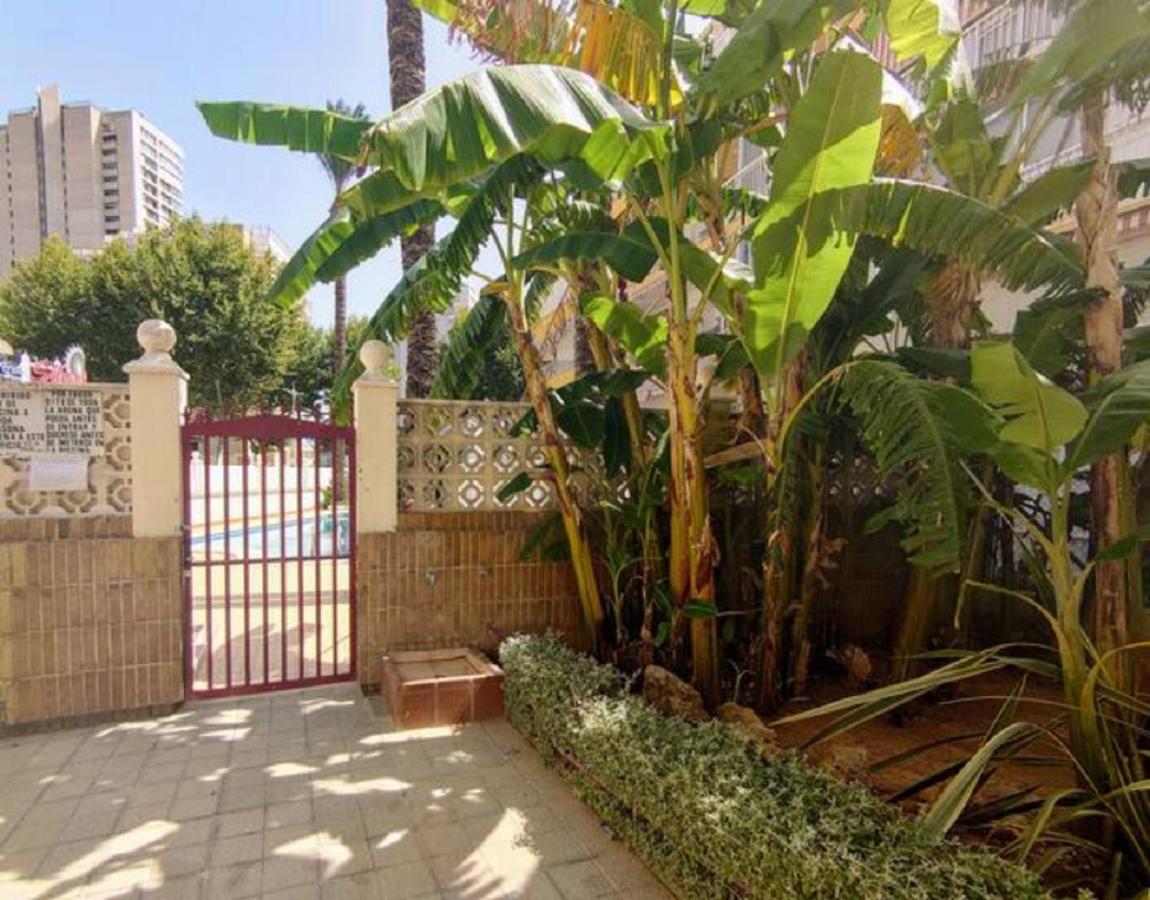 Ferienwohnung Benidorm Rocas One, Un Oasis A 100 Metros Del Mar Exterior foto